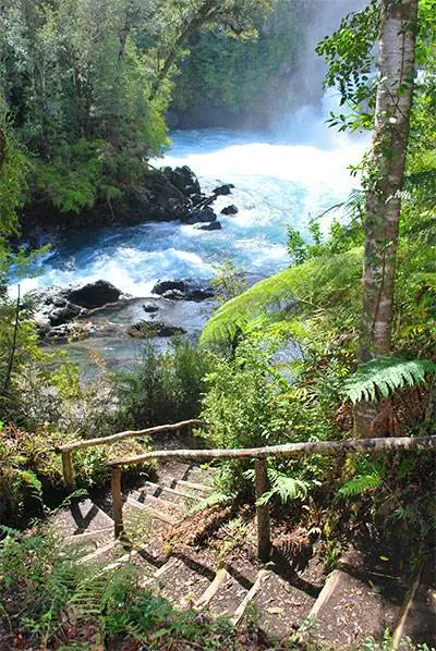 Реки, озера, водопады и горы Патагонии являются частью Озерного региона Чили. Фотографии Сони Старк.