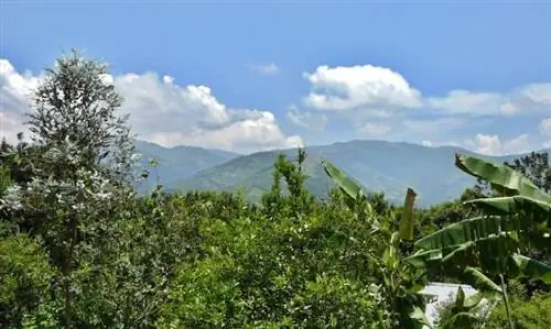 вид со станции Валгалла