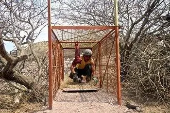 Намибия: помощь в выслеживании и сохранении леопардов