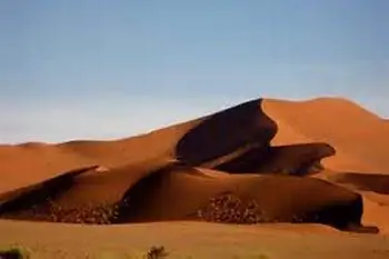 В пустыне: Намибия