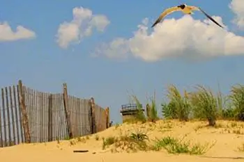 Дорога в обратном направлении в Делавэре