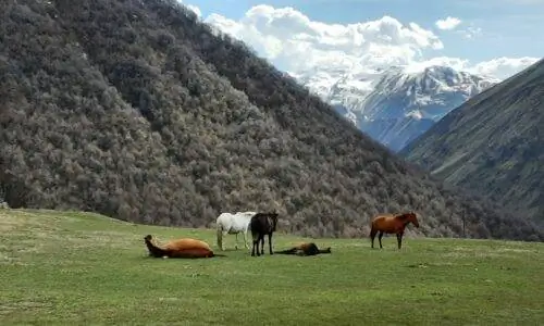Джута, горная деревня на севере Грузии.