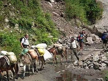 В ожидании поезда