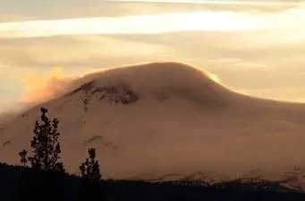 Южная сестра