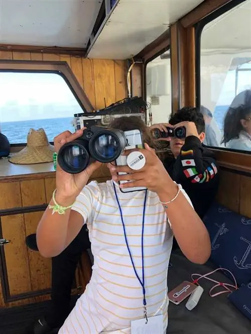 Где те киты? Наслаждайтесь временем в 5 милях от моря с дельфином Дэйви Локер и наблюдением за китами в гавани Ньюпорта.