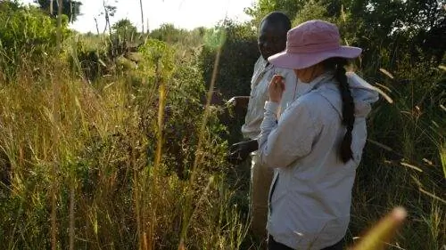 В поисках насекомых