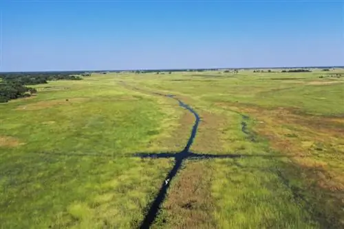 Переулки Оковаго в дельте Окаванго