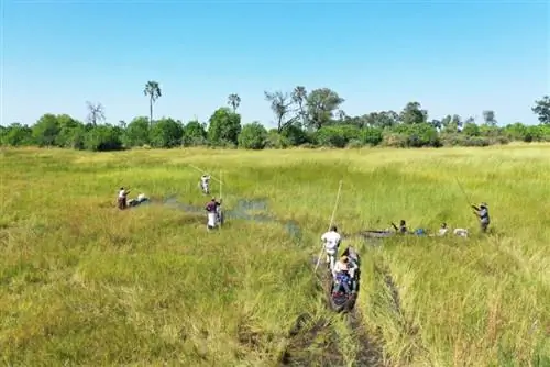 Выезд туристической компании