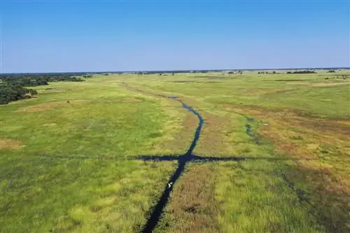 Дельта Окаванго в Ботсване: потрясающая природа и дикая природа