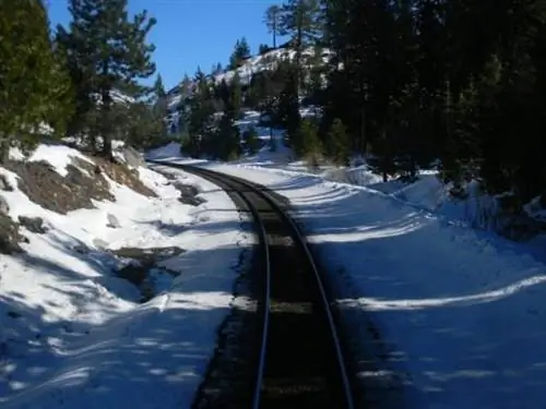 Вид поезда сзади.