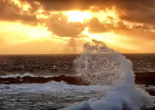 Восход солнца на Арубе на дикой стороне острова. Фотографии Таба Хаузера.