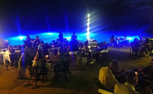 Летающая рыбная кость Аруба