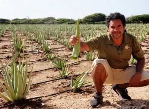 Аруба Алоэ Тур