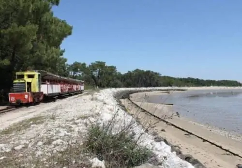 Le Petite Tourist Train