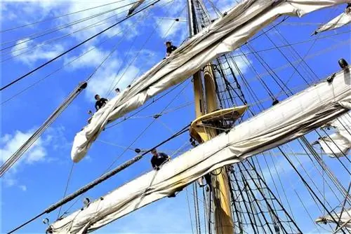 Экипаж на паруснике в 2014 году в Саванне.