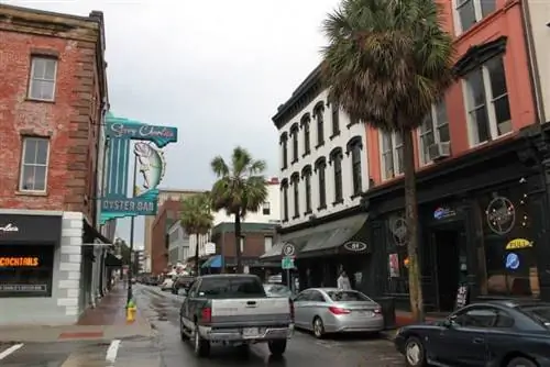 Центр Саванны.