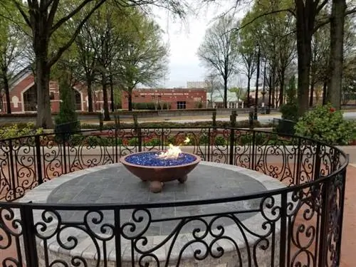 Вечный огонь в Королевском центре, снимок Фрэн Фолсом.