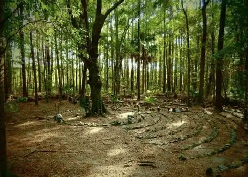 Хостел в лесу в сельской местности Брансуика, Джорджия.