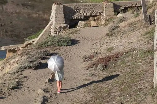 Осмотр старых бань в Сан-Франциско.