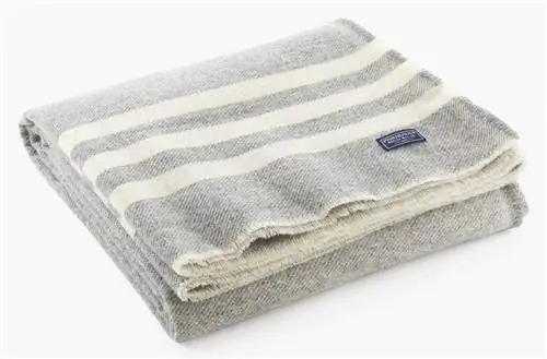 Апрельская награда: новые товары для вас