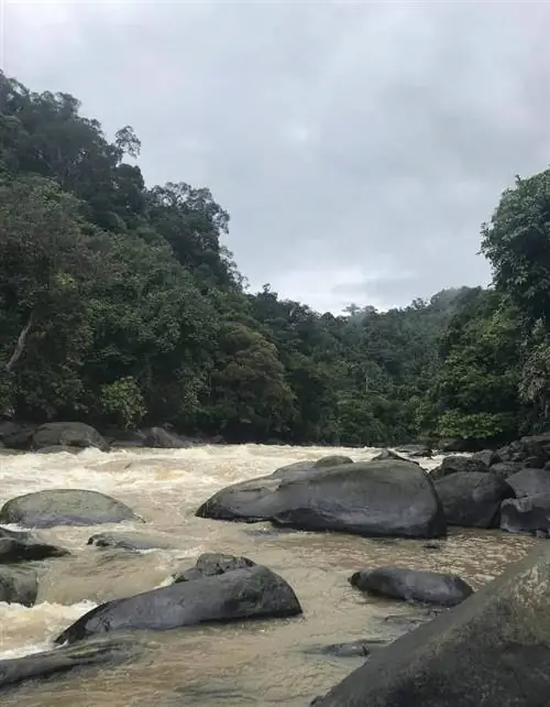 Река Раджанг на Борнео с берега
