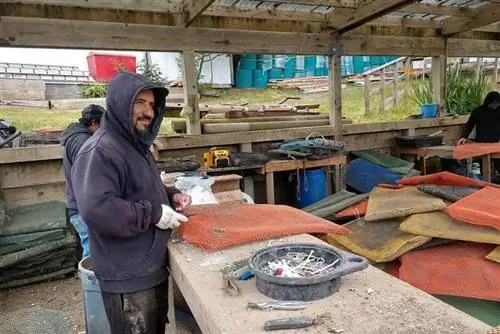 ремонт устричных сетей