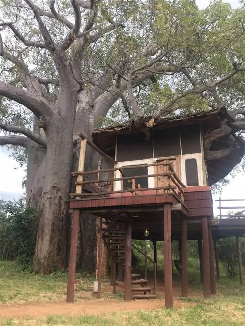 Сафари в Танзании: наш номер в отеле Tarangire Treetops