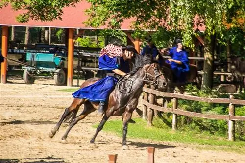 Выигрывает тот, кто пересек финишную черту с красно-белым флагом.