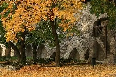 Краски осени в Таллинне.
