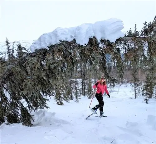 Учимся показывать обувь на Аляске.