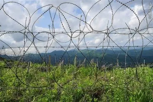 Колючая проволока в демилитаризованной зоне.