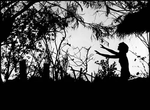 Козы венчают цветочные леса и скалы путешествуют по пейзажам народного ужаса