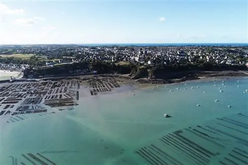 Центр выращивания устриц в Канкале