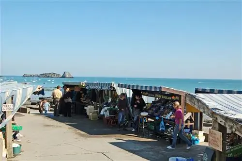 Устричный рынок в Канкале