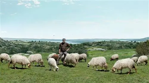 Пастор. Пастор.