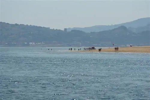 Сантонья или покой лета