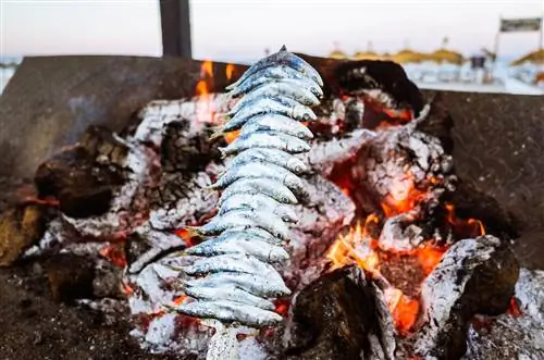 Одно из типичных блюд Вертел сардины