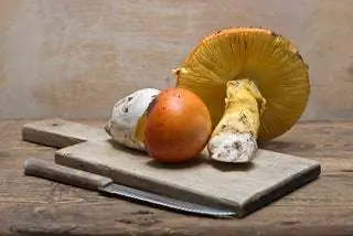 Световые короба Silves Португалия