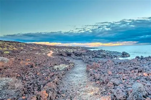 Мальпаис-де-Гуимар Тенерифе