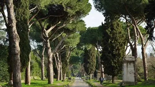 Виа Аппиа: прогулка по итальянской деревне, не выезжая из Рима