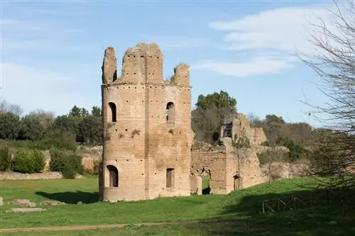 Цирк Массенсио