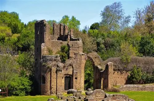 Цирк Массенсио