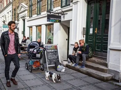 Улица Jægersborggade в Копенгагене с ms 'hygge' на квадратный метр