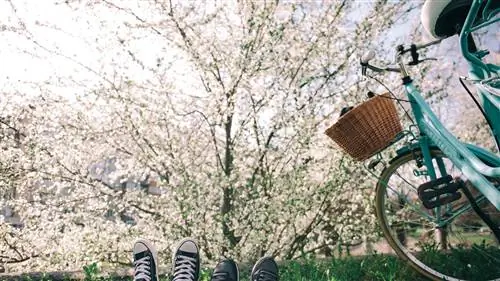 Планы на выходные (24, 25 и 26 мая)