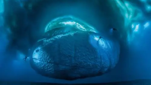 Пришло время повысить осведомленность: пришло время спасти наши океанские райские уголки