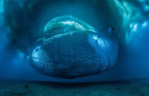 Гомбесса III в Антарктике