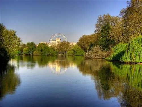 Лондон в шести парках, в которых можно заблудиться