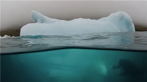 Восемь направлений, которые пробудят нашу совесть