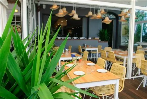 Вкусная терраса в Street Food от Mestre Mahón.