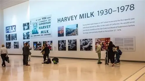 Выставка Harvey Milk в новом терминале
